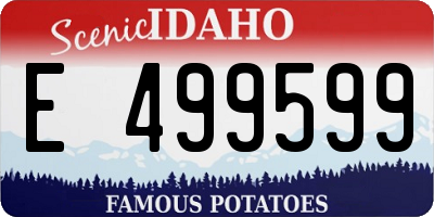 ID license plate E499599