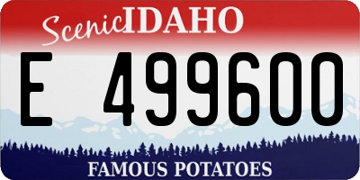 ID license plate E499600