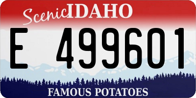 ID license plate E499601