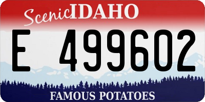 ID license plate E499602