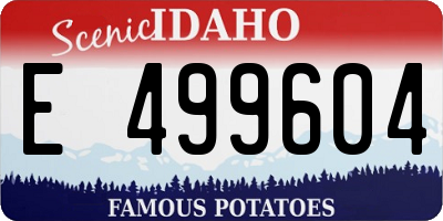 ID license plate E499604
