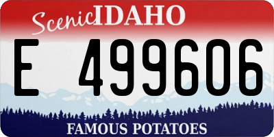 ID license plate E499606
