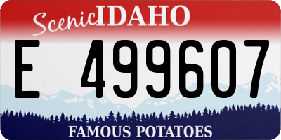 ID license plate E499607