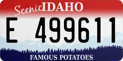 ID license plate E499611