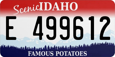 ID license plate E499612