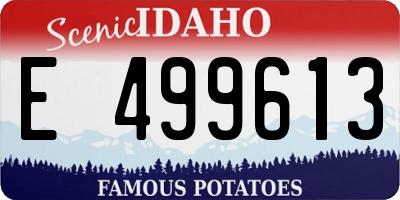 ID license plate E499613