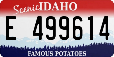 ID license plate E499614