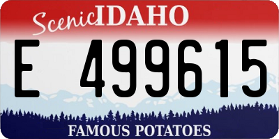 ID license plate E499615