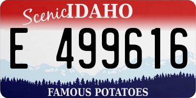 ID license plate E499616