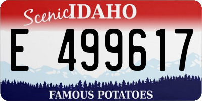 ID license plate E499617