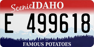 ID license plate E499618