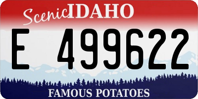 ID license plate E499622