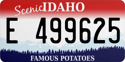 ID license plate E499625