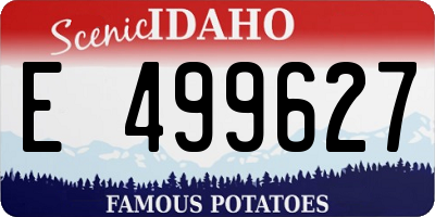 ID license plate E499627