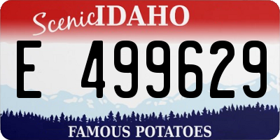ID license plate E499629