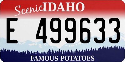 ID license plate E499633