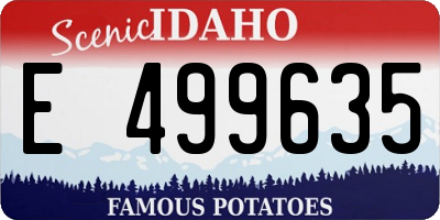 ID license plate E499635