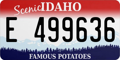 ID license plate E499636