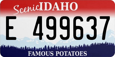 ID license plate E499637