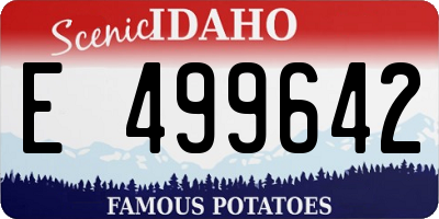ID license plate E499642