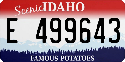 ID license plate E499643