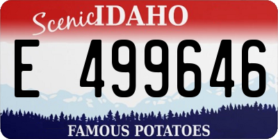 ID license plate E499646