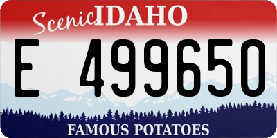 ID license plate E499650