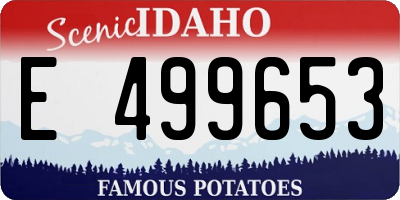 ID license plate E499653