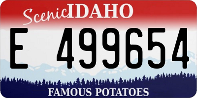 ID license plate E499654