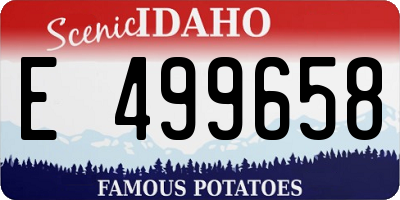 ID license plate E499658