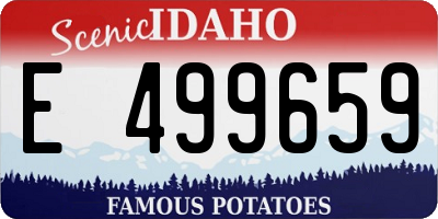ID license plate E499659