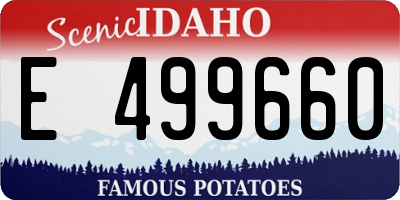 ID license plate E499660