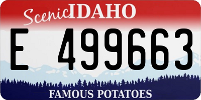 ID license plate E499663