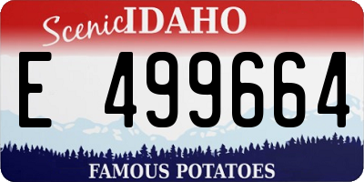 ID license plate E499664