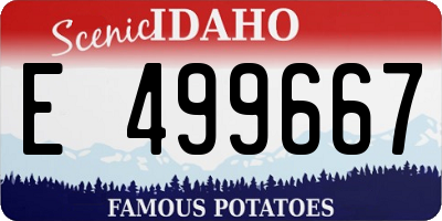 ID license plate E499667