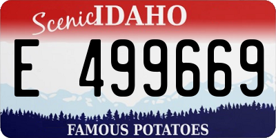 ID license plate E499669