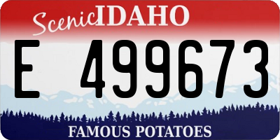 ID license plate E499673