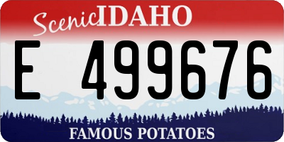 ID license plate E499676