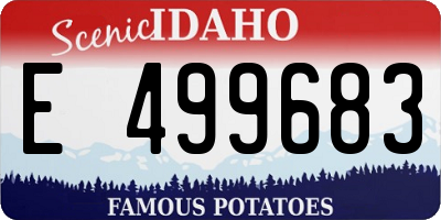 ID license plate E499683