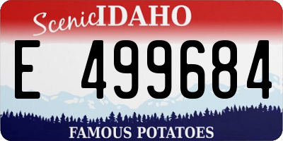 ID license plate E499684