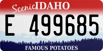 ID license plate E499685