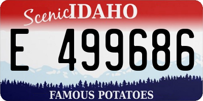 ID license plate E499686