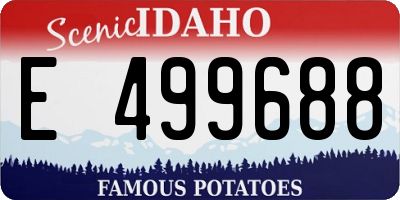 ID license plate E499688