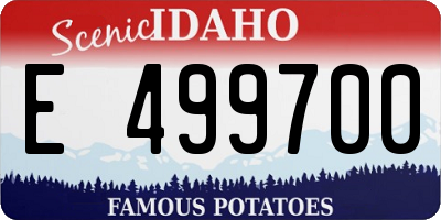 ID license plate E499700