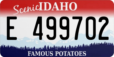 ID license plate E499702