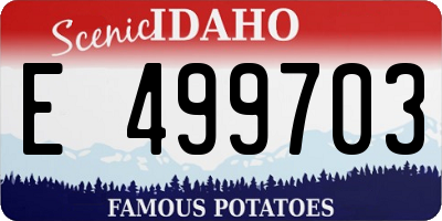 ID license plate E499703