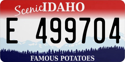 ID license plate E499704