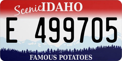 ID license plate E499705