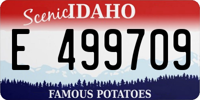 ID license plate E499709