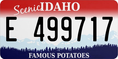 ID license plate E499717